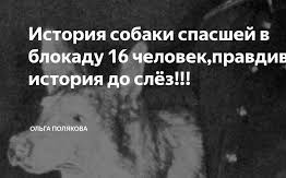 Реабилитационный досуг для молодежи на тему: «История собаки, спасшей 16 человек  во время блокады Ленинграда»